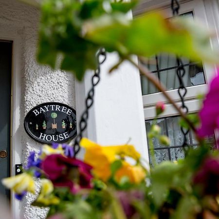 Bay Tree House Bed & Breakfast Барнет Екстер'єр фото